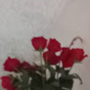 Meet your Posher, Wilie